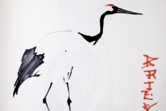 36-IMG_0072