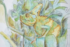 37-IMG_0070